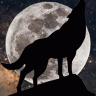 usmlonewolf