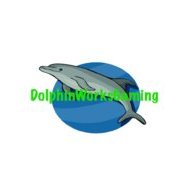 DolphinWorksGaming